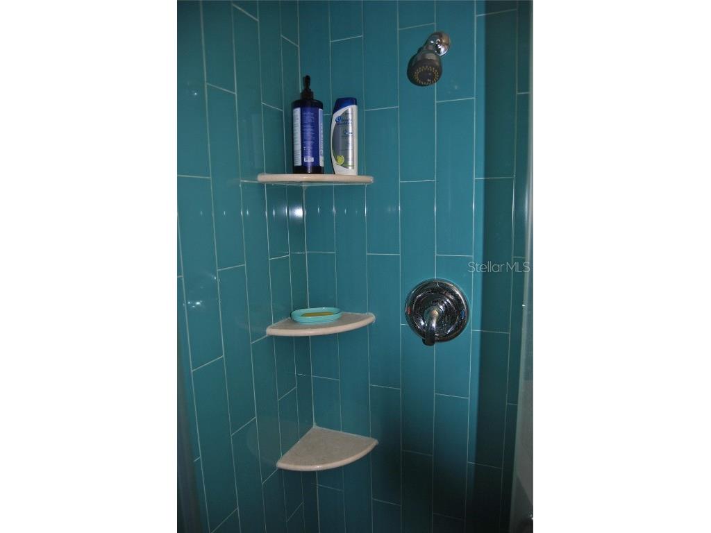 7219 Williams Drive S Saint Petersburg FL 33705 TB8354882 image18
