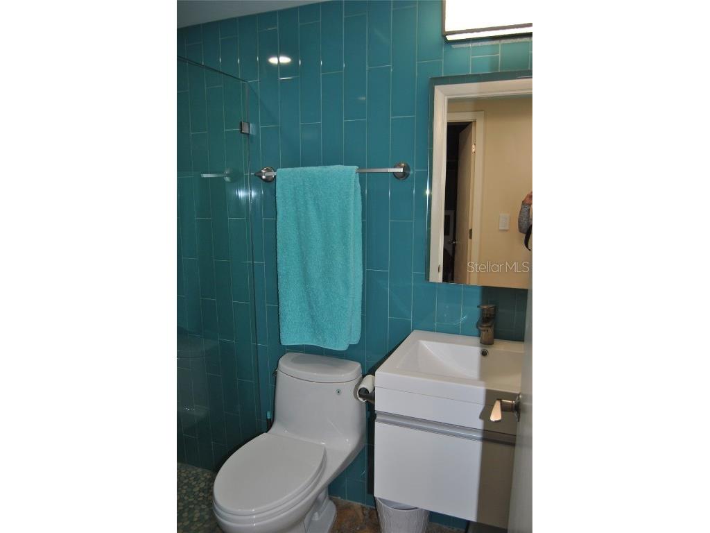 7219 Williams Drive S Saint Petersburg FL 33705 TB8354882 image21