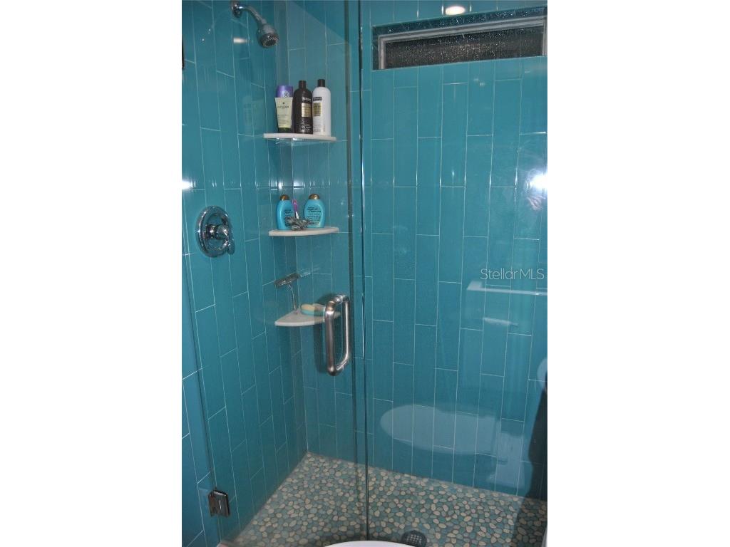 7219 Williams Drive S Saint Petersburg FL 33705 TB8354882 image22