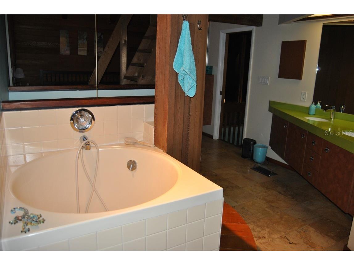 7219 Williams Drive S Saint Petersburg FL 33705 TB8354882 image25