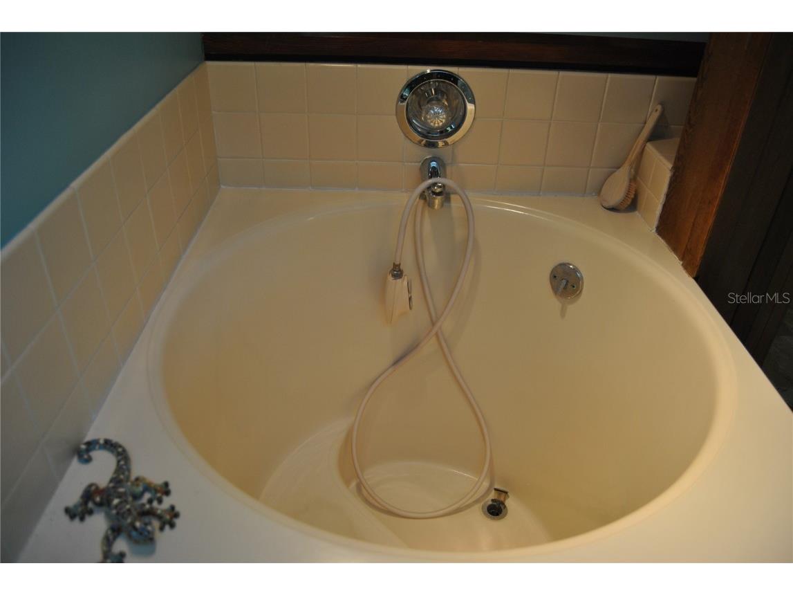 7219 Williams Drive S Saint Petersburg FL 33705 TB8354882 image26