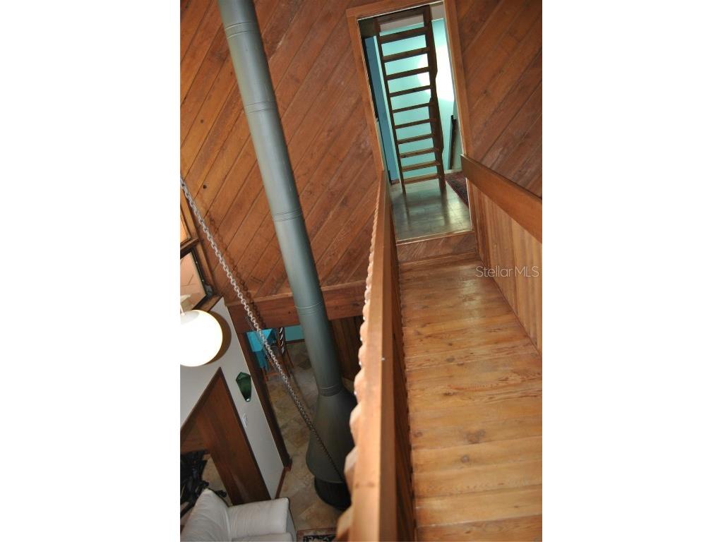 7219 Williams Drive S Saint Petersburg FL 33705 TB8354882 image30
