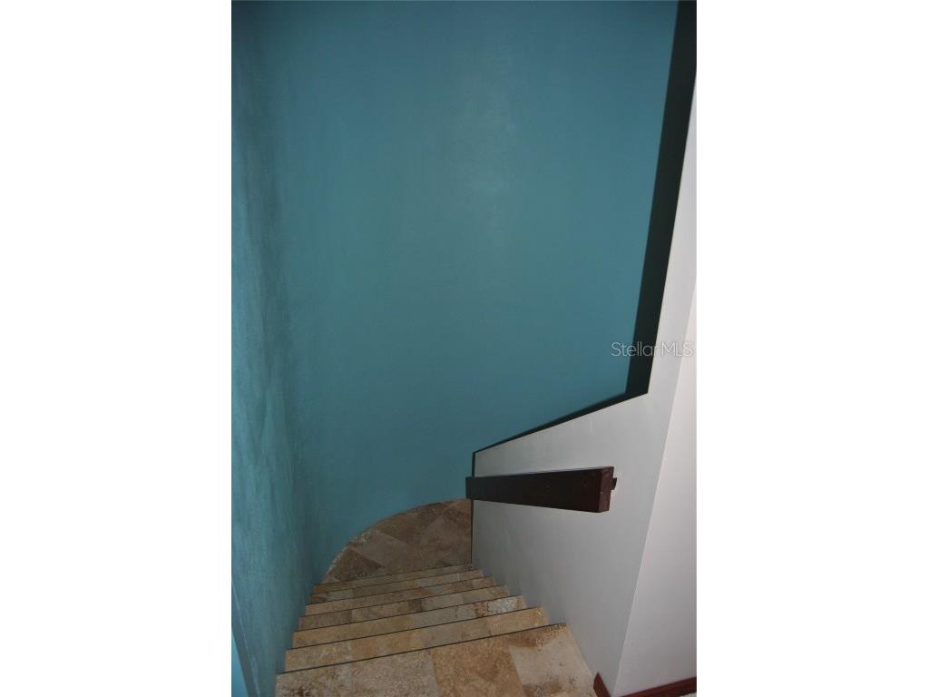 7219 Williams Drive S Saint Petersburg FL 33705 TB8354882 image33