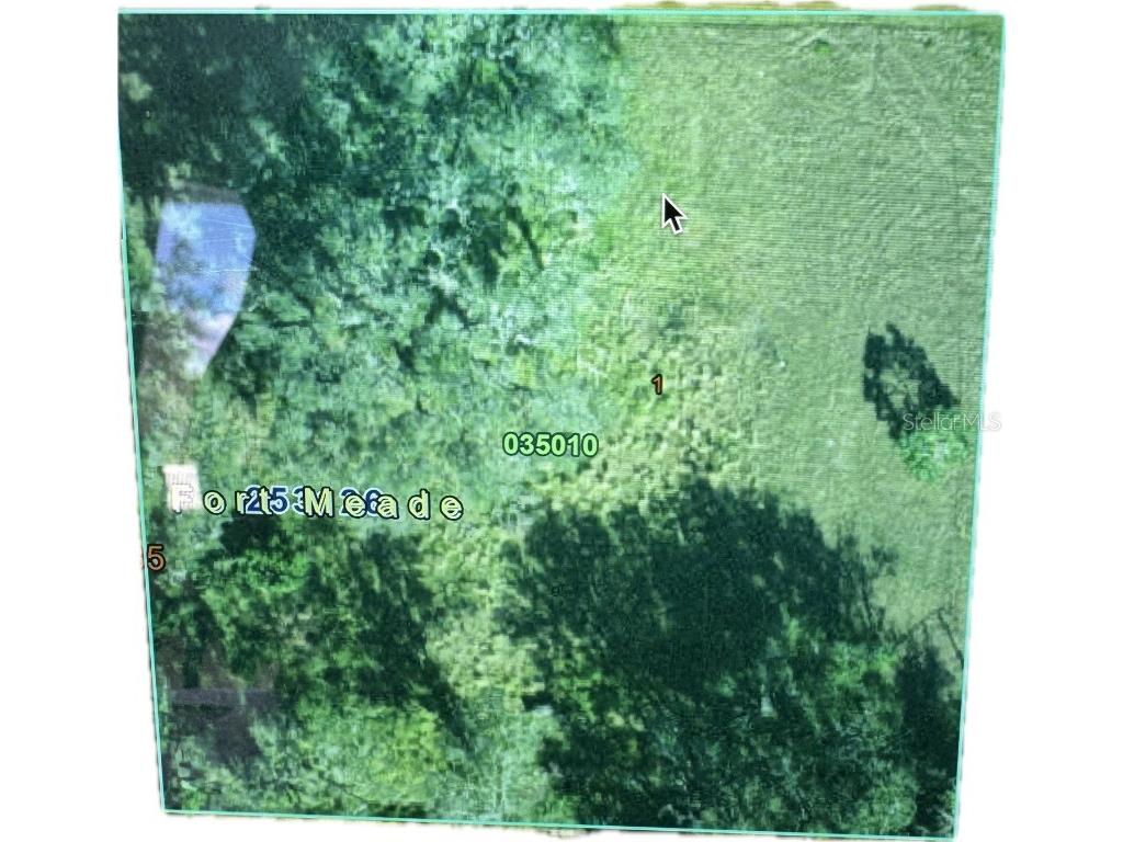 722 9th Street NE Fort Meade FL 33841 L4957640 image1