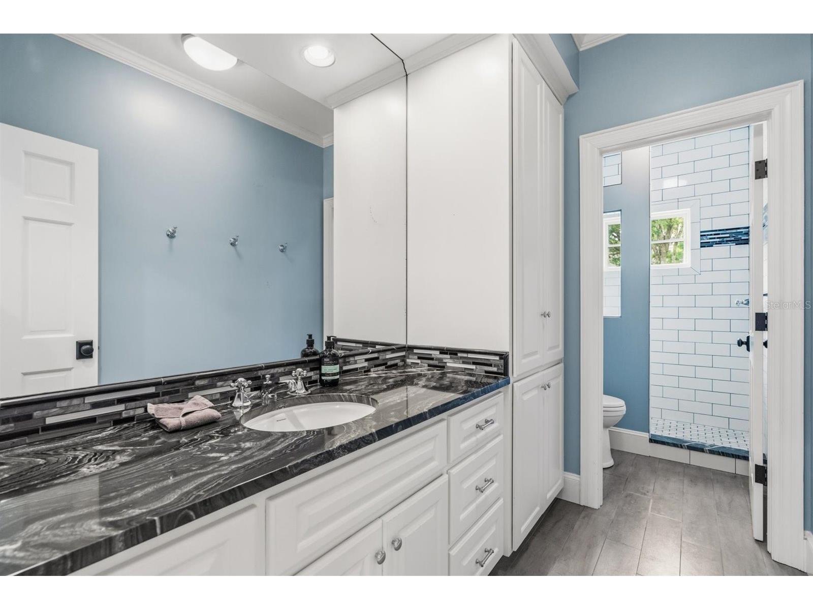 722 Alba Drive Orlando FL 32804 O6391447 image26