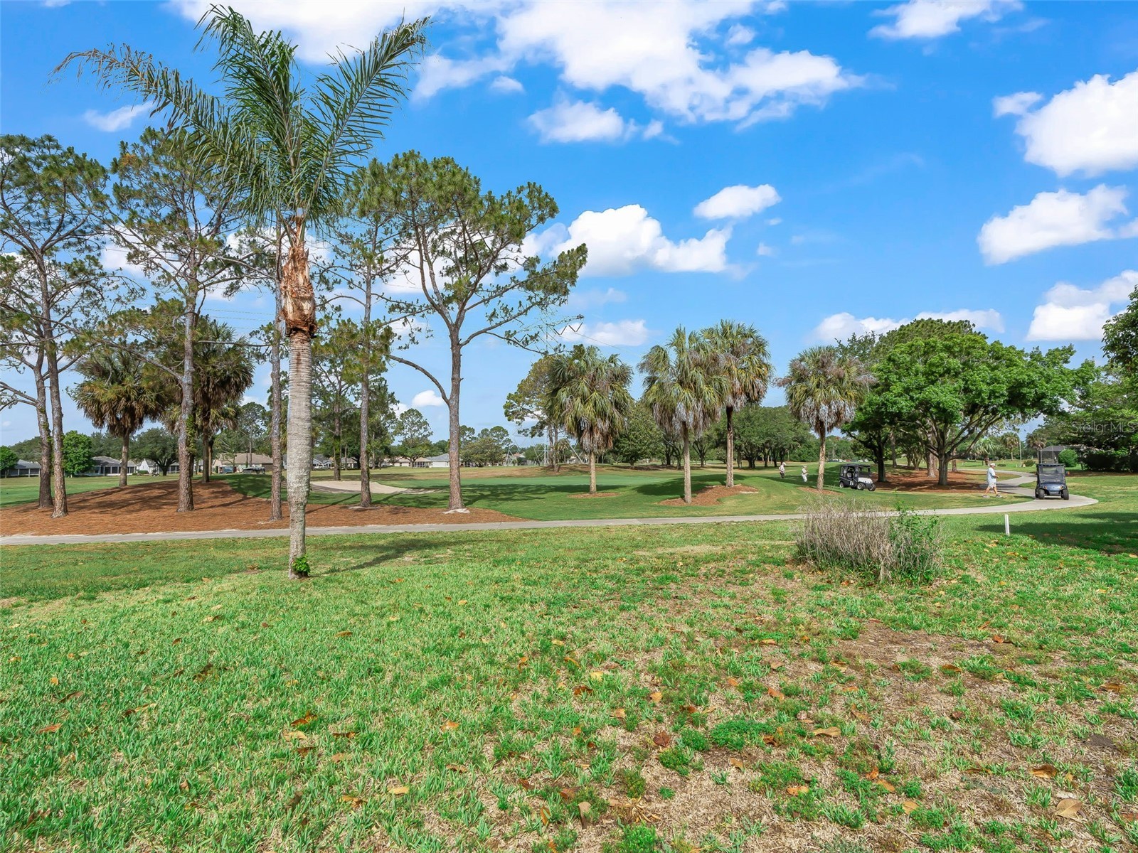 722 Camino Del Rey Drive The Villages FL 32159 G5112835 image25