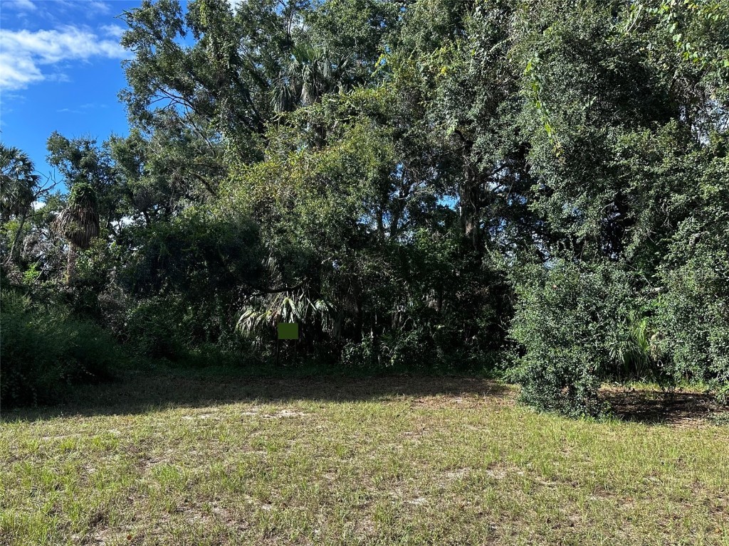 722 Highway 40 W Inglis FL 34449 OM709276 image1