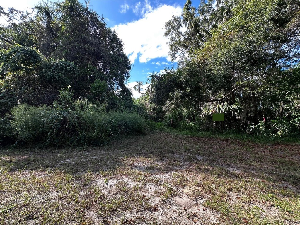 722 Highway 40 W Inglis FL 34449 OM709276 image10