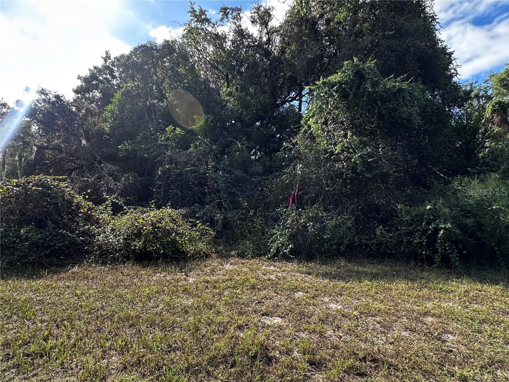 722 Highway 40 W Inglis FL 34449 OM709276 image11