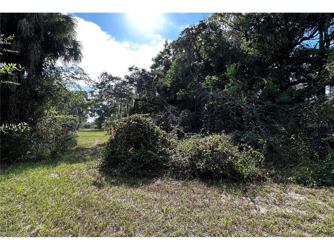 722 Highway 40 W Inglis FL 34449 OM709276 image12