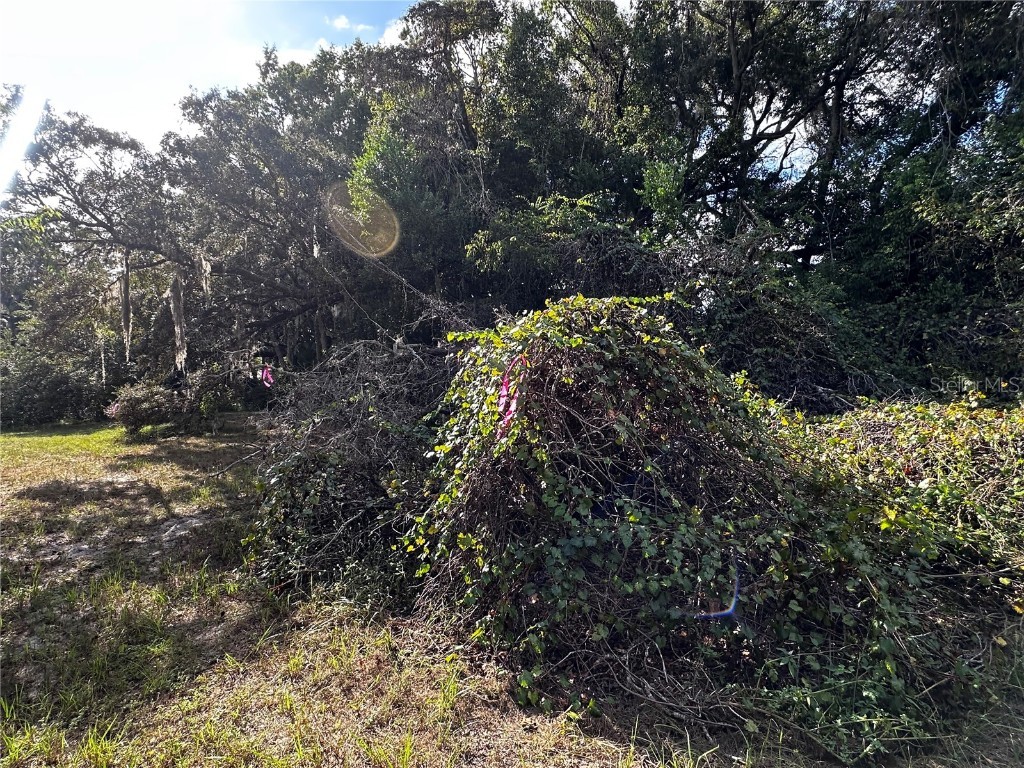 722 Highway 40 W Inglis FL 34449 OM709276 image13