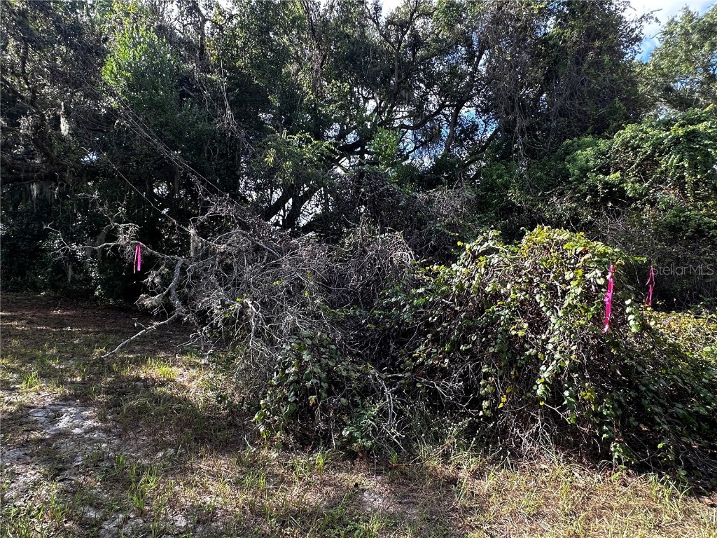722 Highway 40 W Inglis FL 34449 OM709276 image14