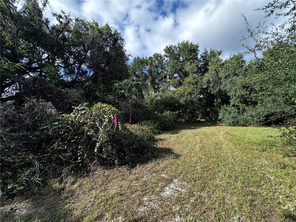 722 Highway 40 W Inglis FL 34449 OM709276 image15