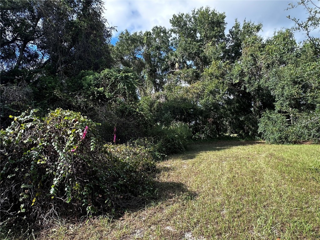 722 Highway 40 W Inglis FL 34449 OM709276 image16