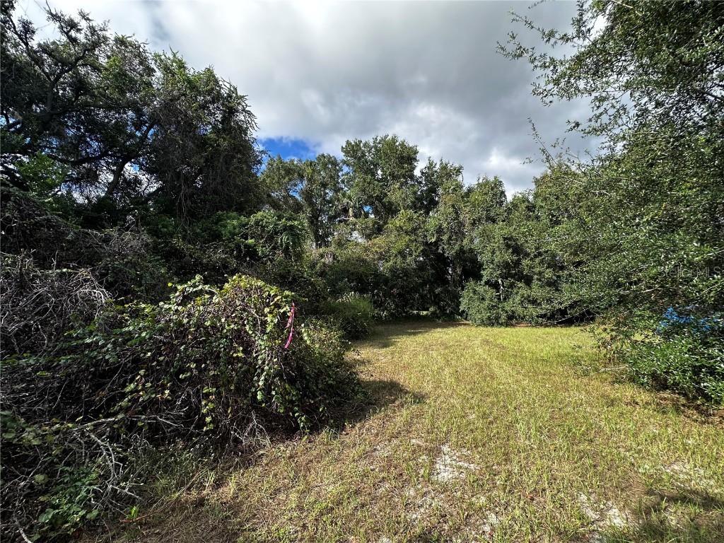 722 Highway 40 W Inglis FL 34449 OM709276 image17