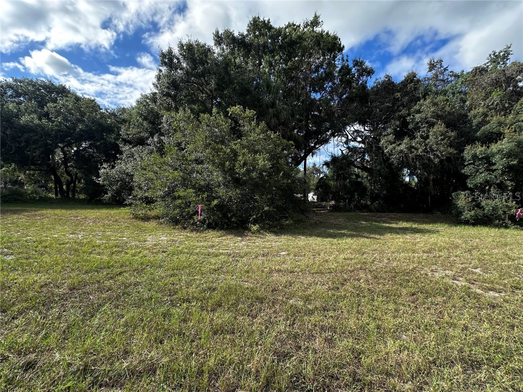 722 Highway 40 W Inglis FL 34449 OM709276 image18