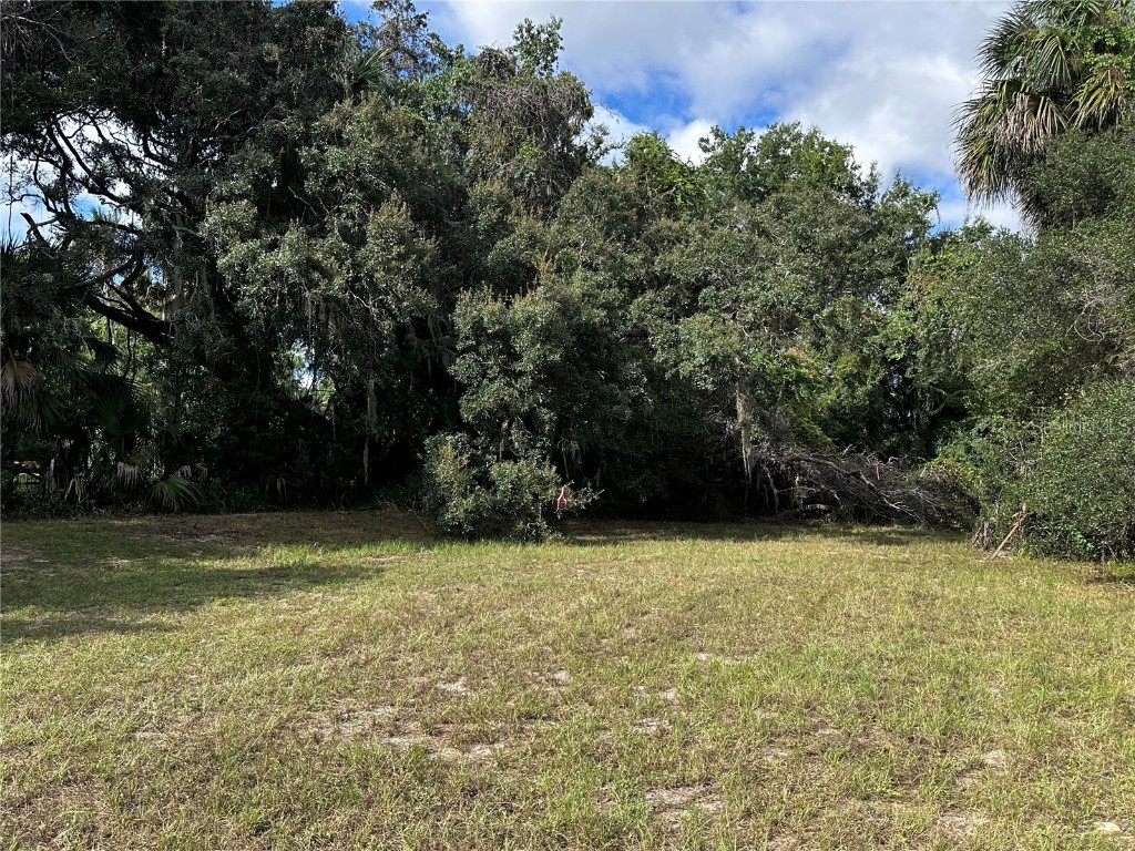 722 Highway 40 W Inglis FL 34449 OM709276 image19