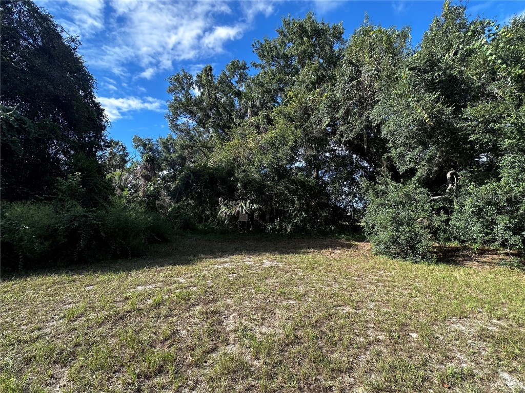 722 Highway 40 W Inglis FL 34449 OM709276 image2