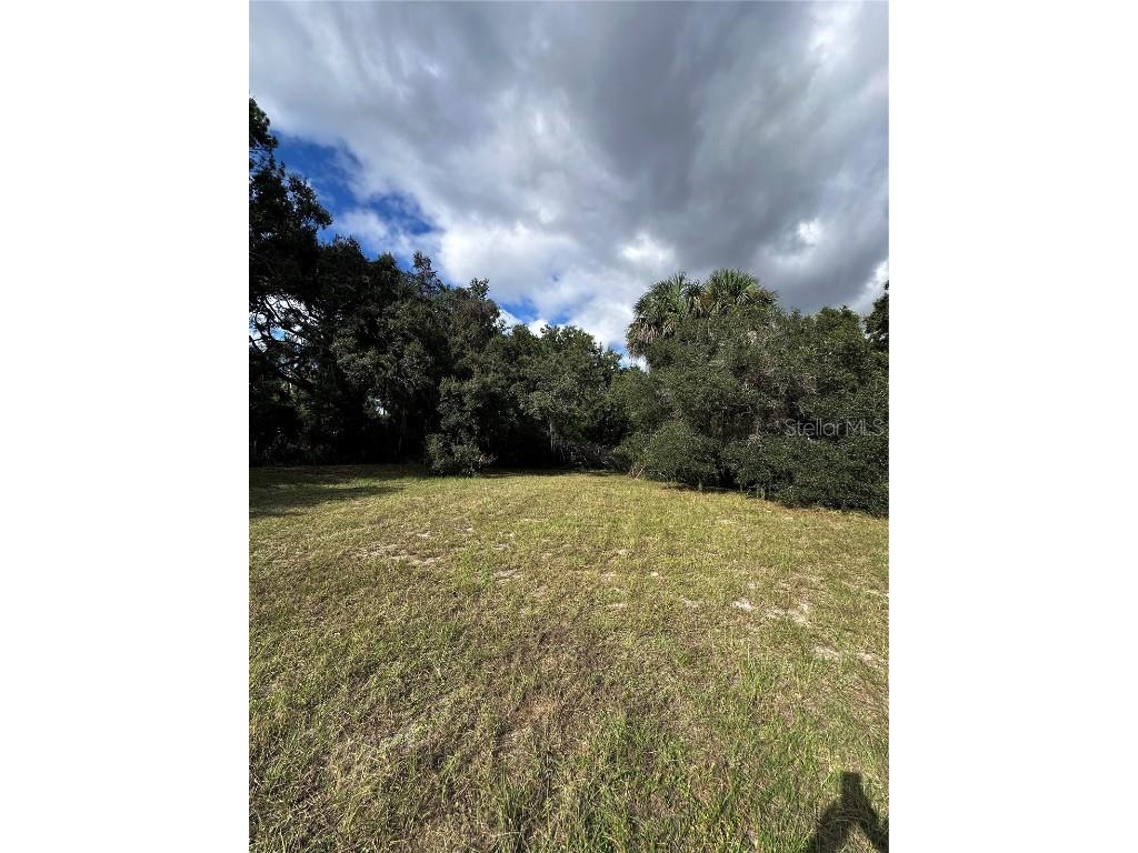722 Highway 40 W Inglis FL 34449 OM709276 image20