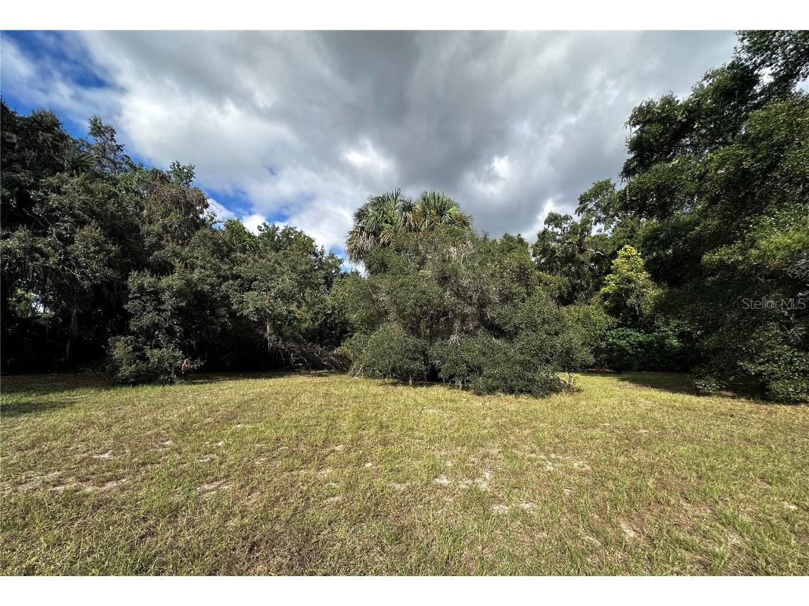 722 Highway 40 W Inglis FL 34449 OM709276 image21