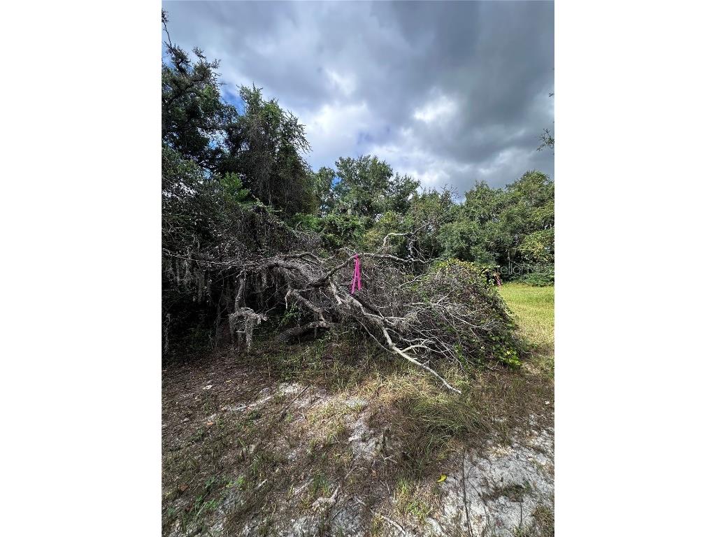722 Highway 40 W Inglis FL 34449 OM709276 image22