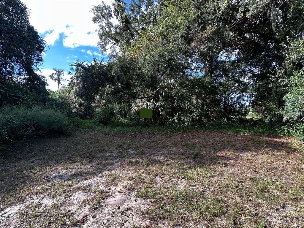 722 Highway 40 W Inglis FL 34449 OM709276 image23