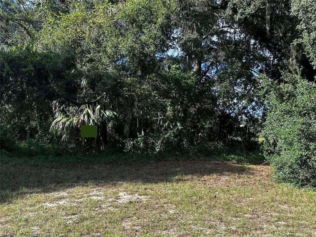722 Highway 40 W Inglis FL 34449 OM709276 image3