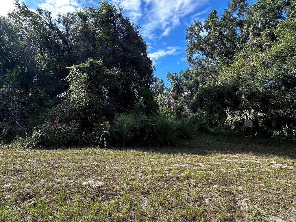 722 Highway 40 W Inglis FL 34449 OM709276 image4