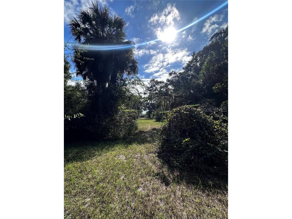 722 Highway 40 W Inglis FL 34449 OM709276 image5