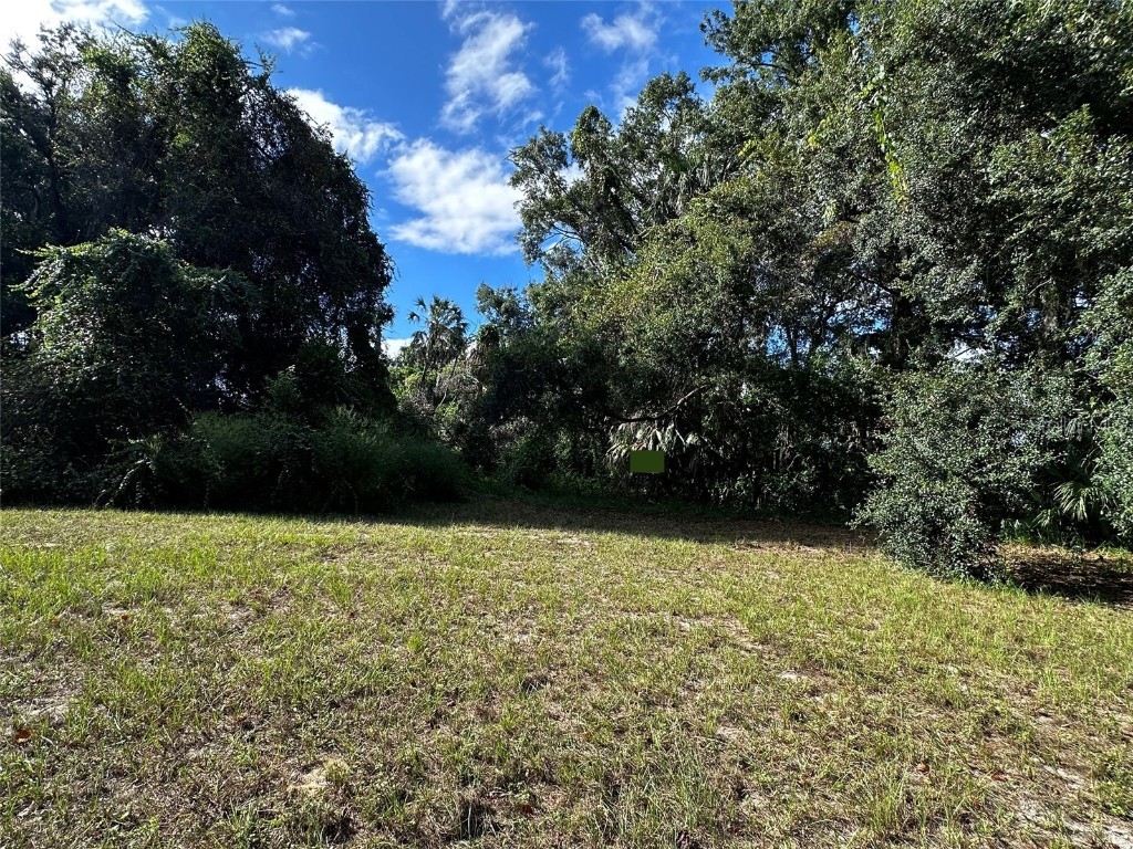 722 Highway 40 W Inglis FL 34449 OM709276 image6