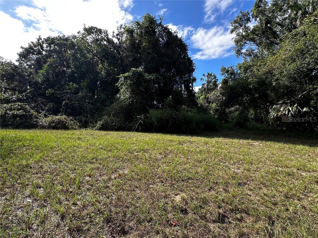 722 Highway 40 W Inglis FL 34449 OM709276 image7