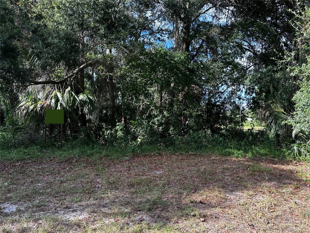 722 Highway 40 W Inglis FL 34449 OM709276 image8