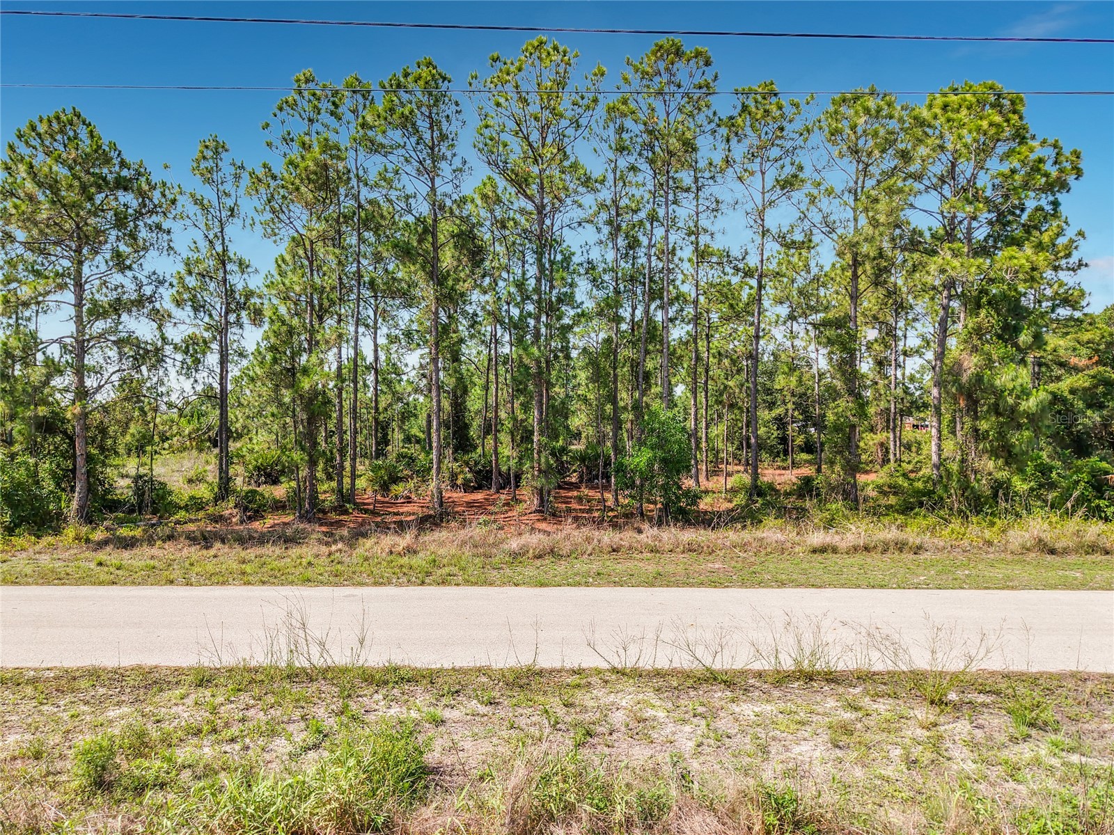 722 Manuel Street E Lehigh Acres FL 33974 O6413064 image17