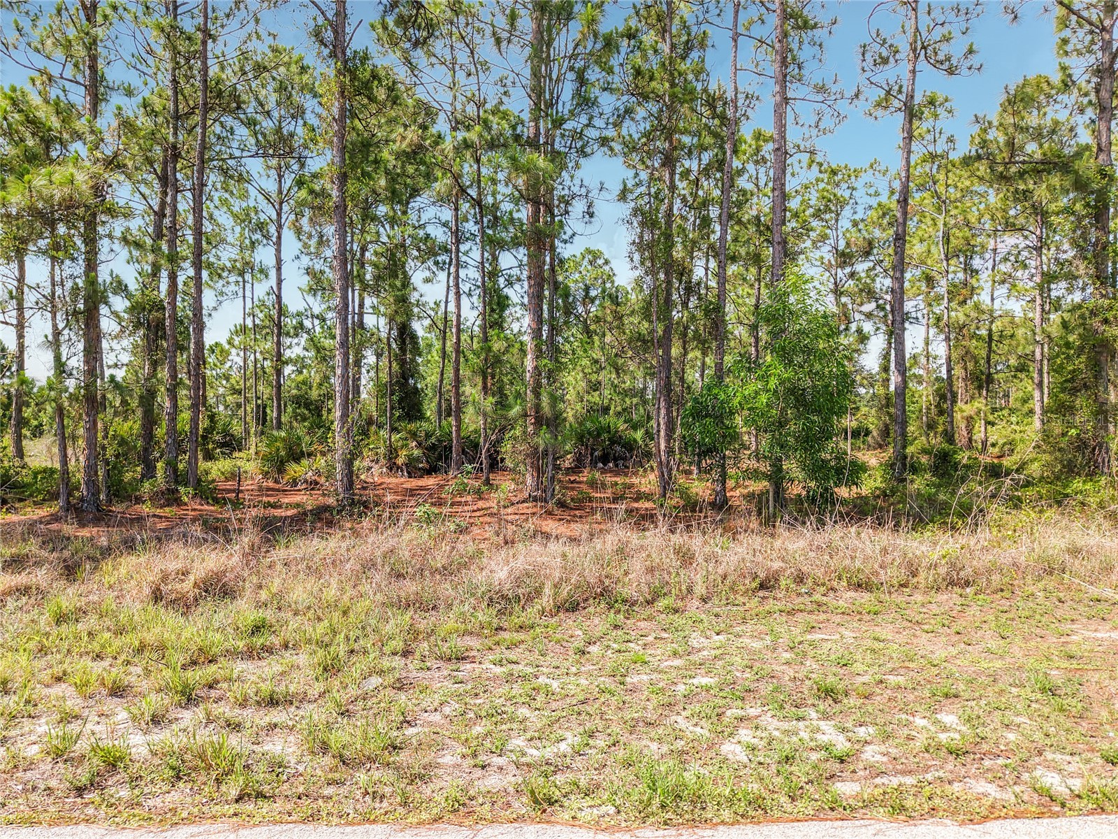 722 Manuel Street E Lehigh Acres FL 33974 O6413064 image19