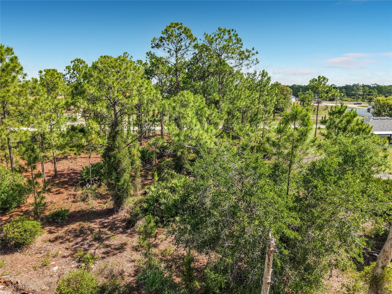 722 Manuel Street E Lehigh Acres FL 33974 O6413064 image21
