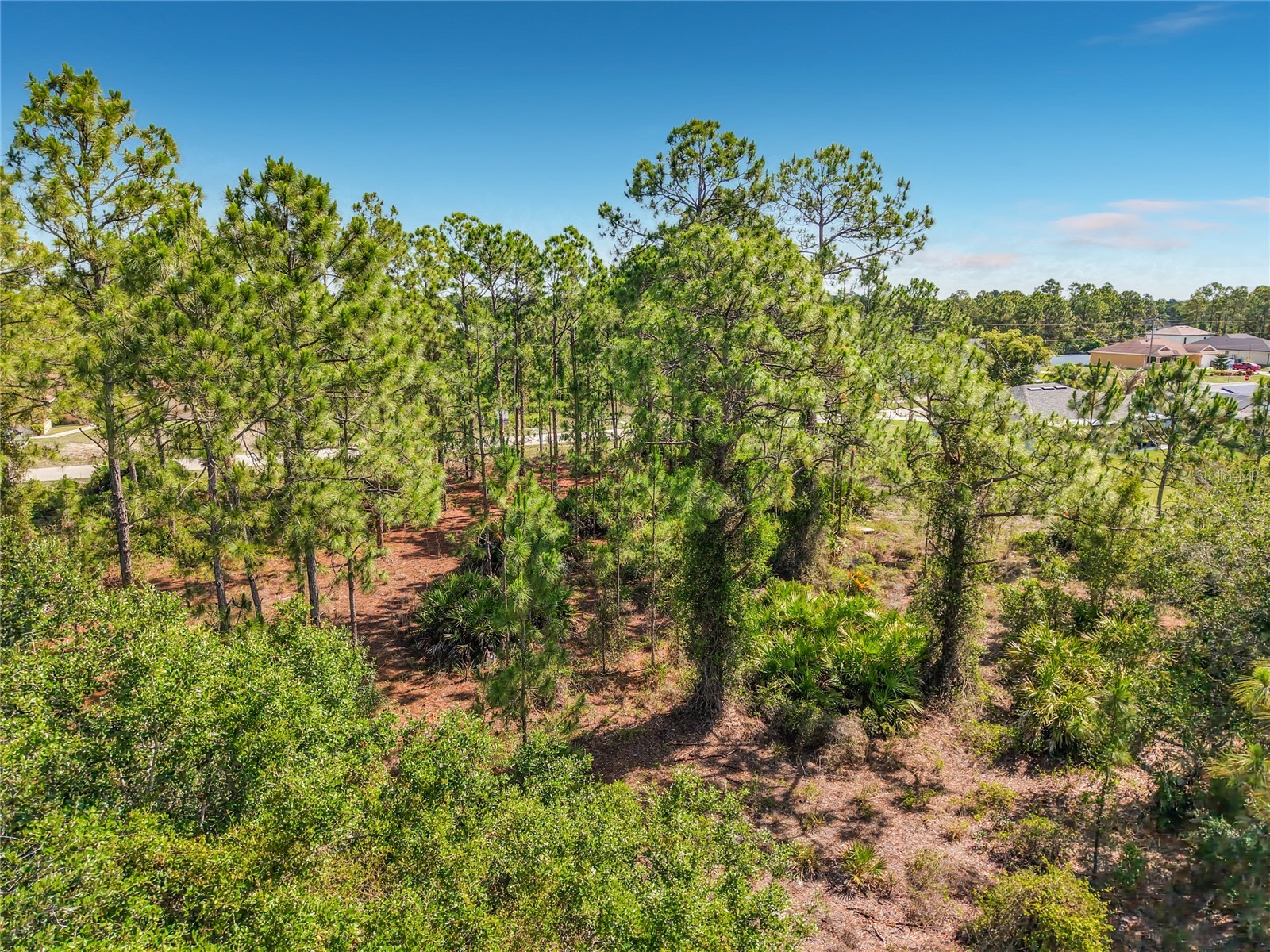 722 Manuel Street E Lehigh Acres FL 33974 O6413064 image22