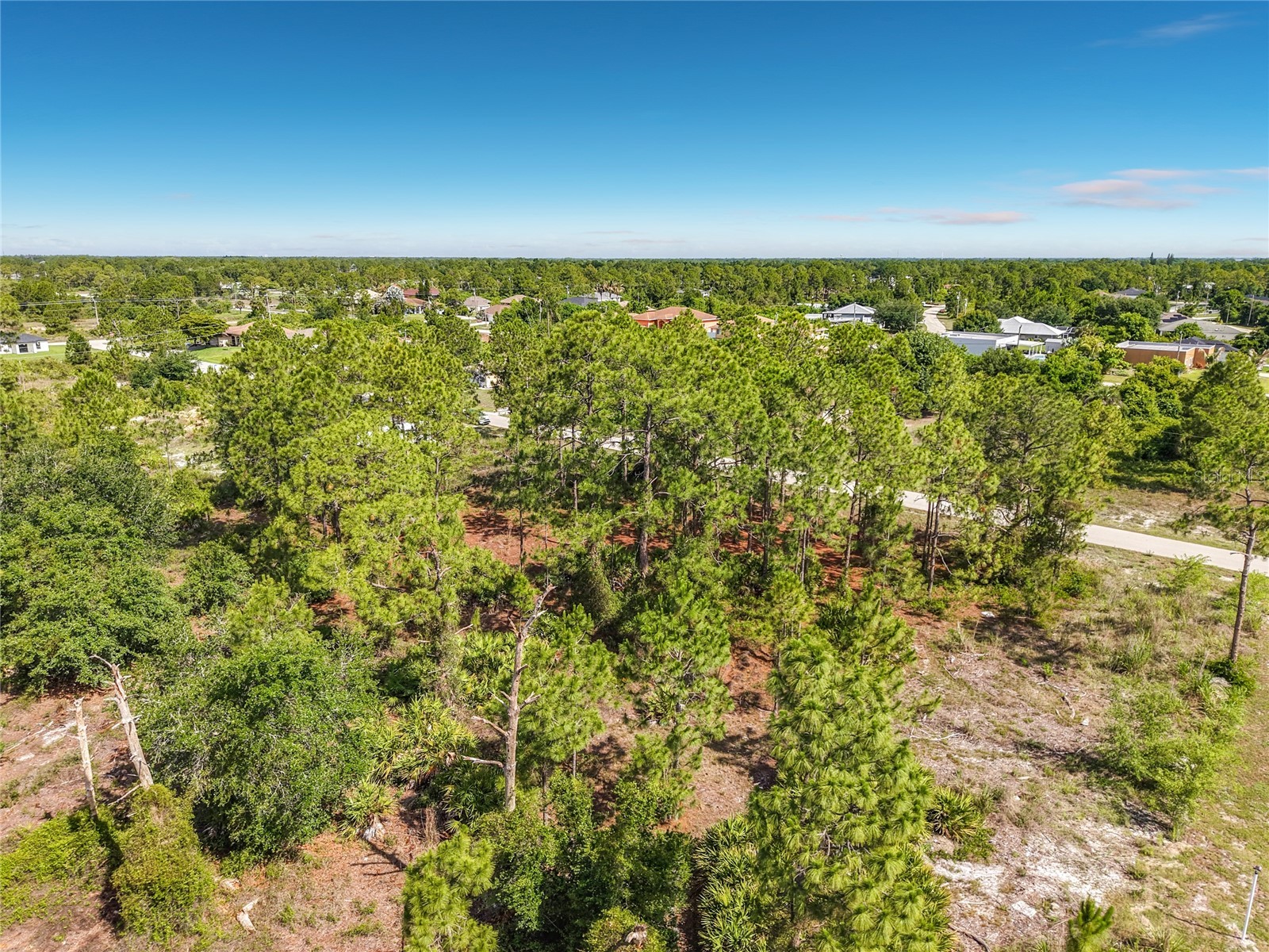 722 Manuel Street E Lehigh Acres FL 33974 O6413064 image27