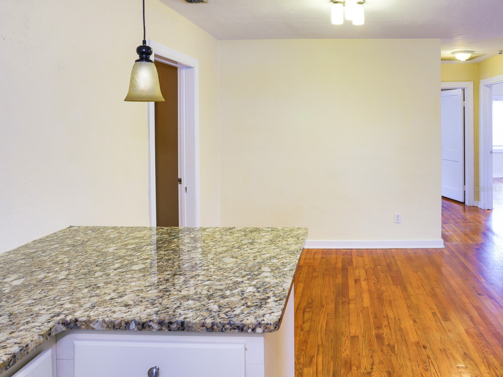722 Sagamore Street Lakeland FL 33803 L4960203 image4