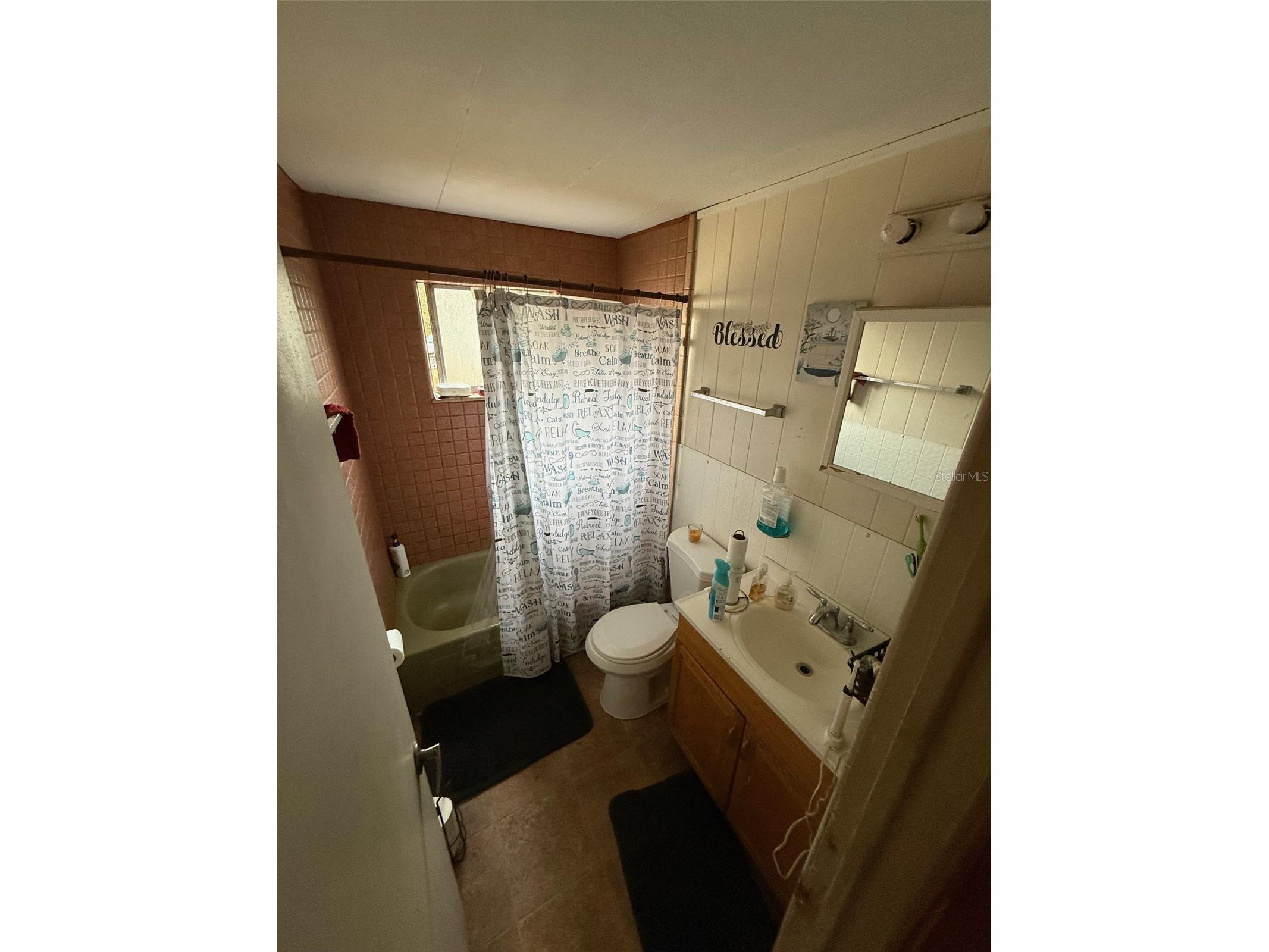 722 W Maud Street Tavares FL 32778 G5107669 image8