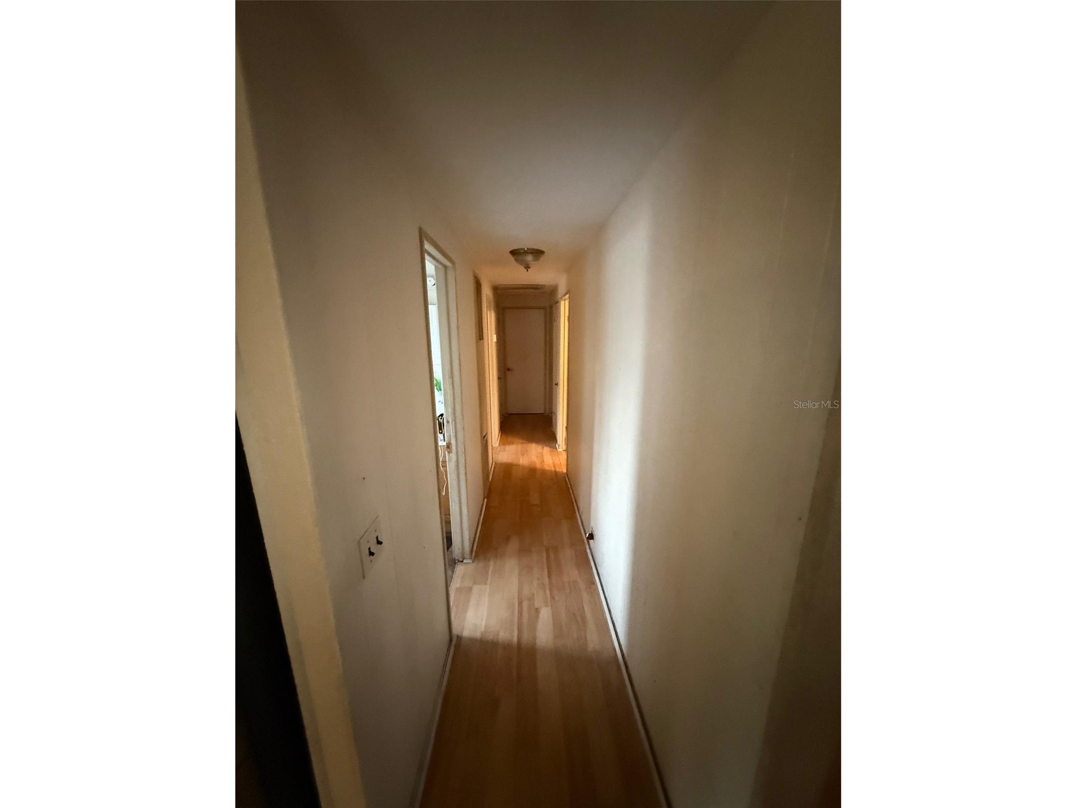 722 W Maud Street Tavares FL 32778 G5107669 image9