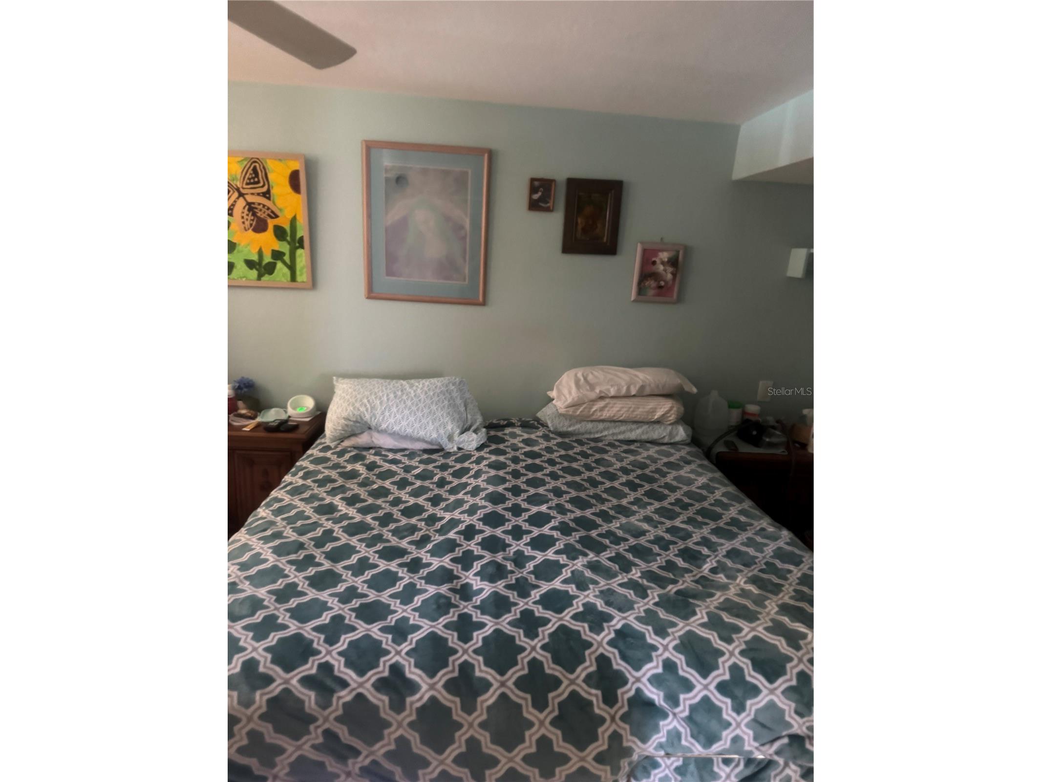 722 W Whidden Street Arcadia FL 34266 C7528653 image19