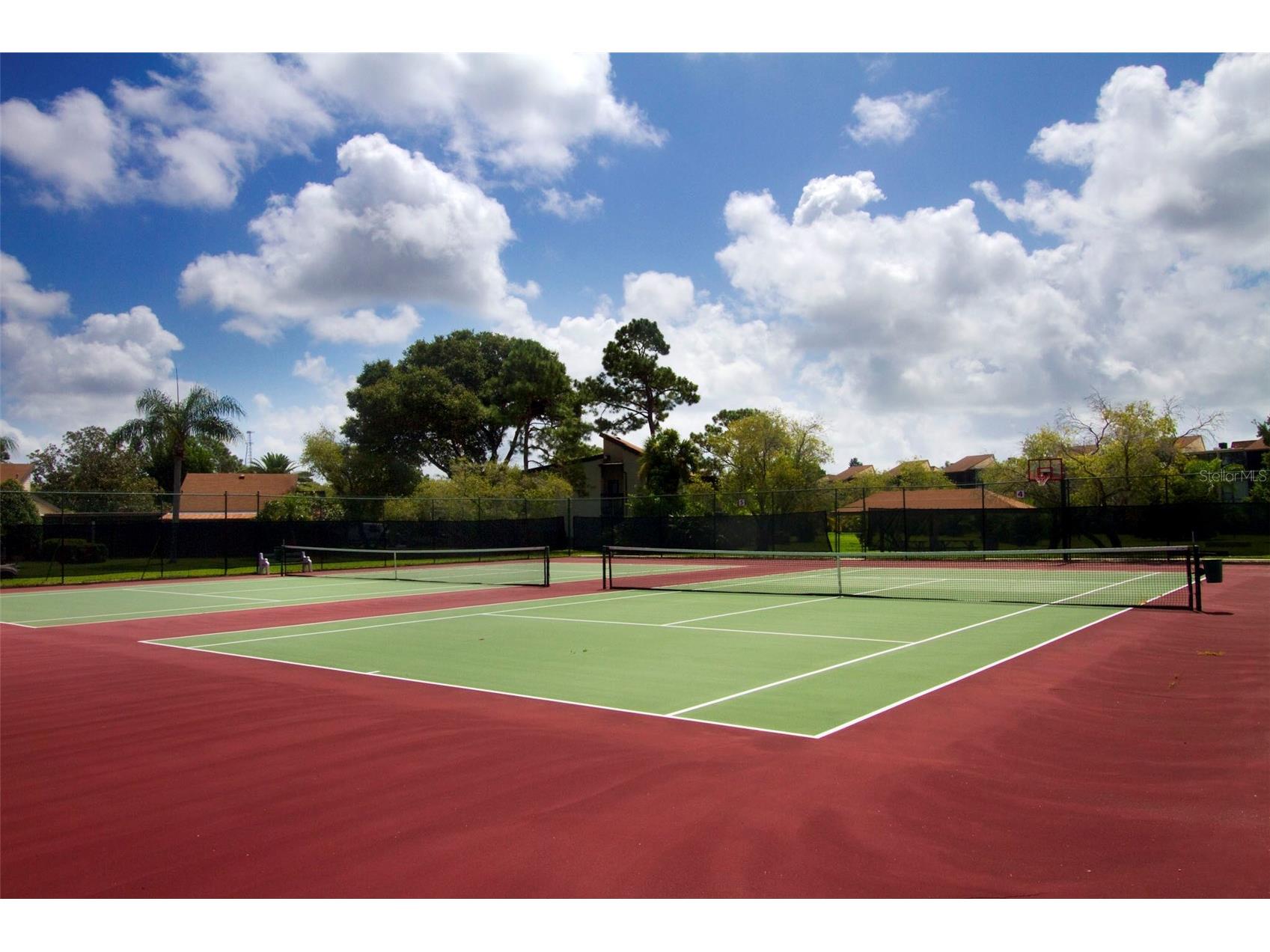 722 White Pine Tree Road #82 Venice FL 34285 N6143659 image24