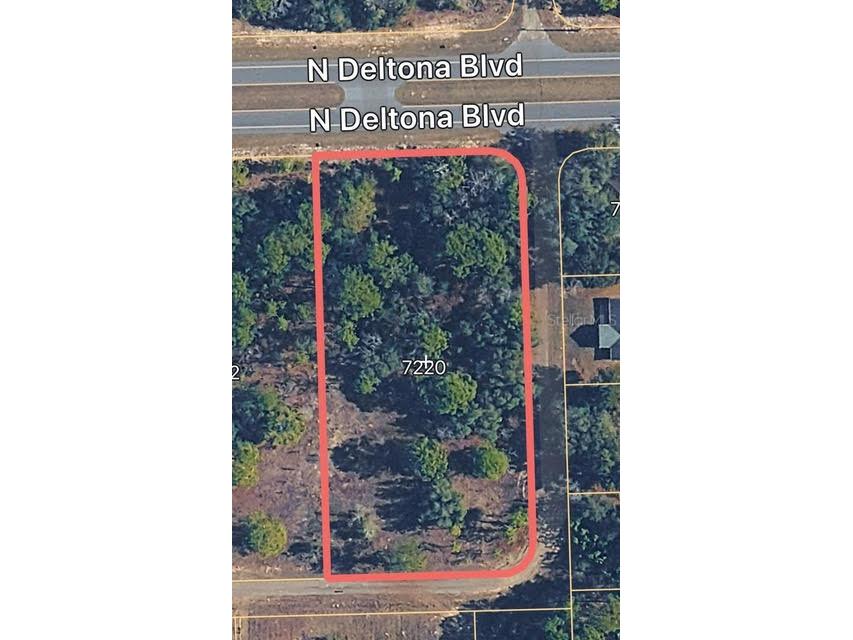7220 N Deltona Boulevard Citrus Springs FL 34434 OM714970 image2