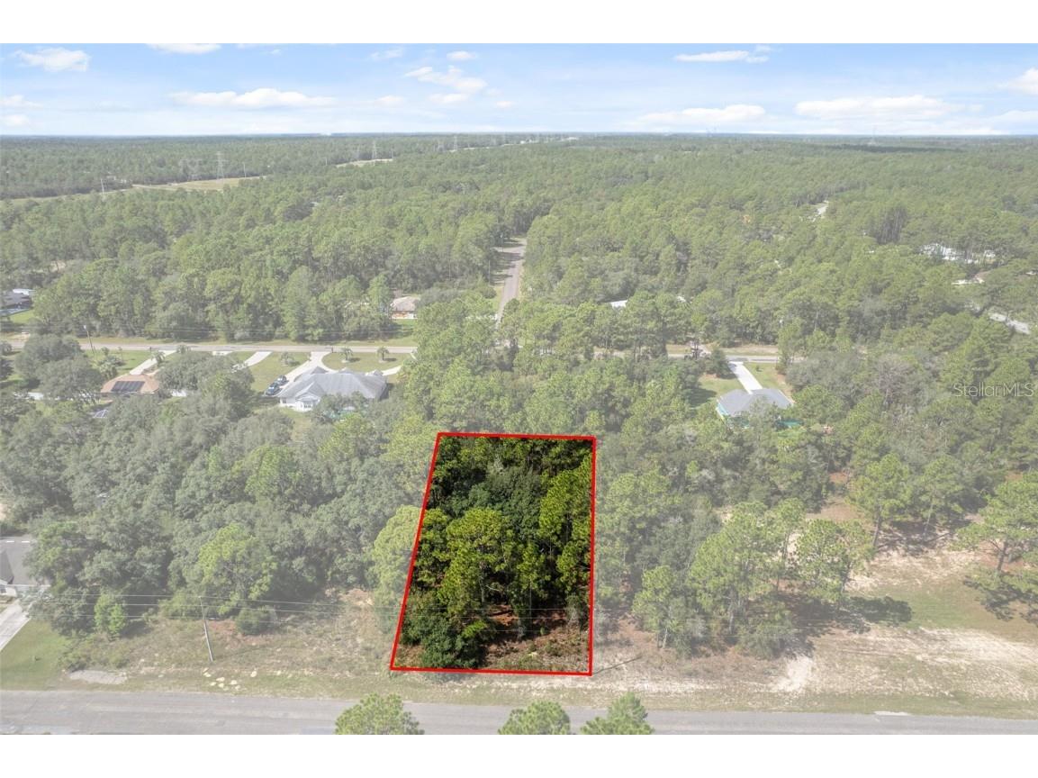 7220 N Maltese Drive Citrus Springs FL 34433 A4665455 image1