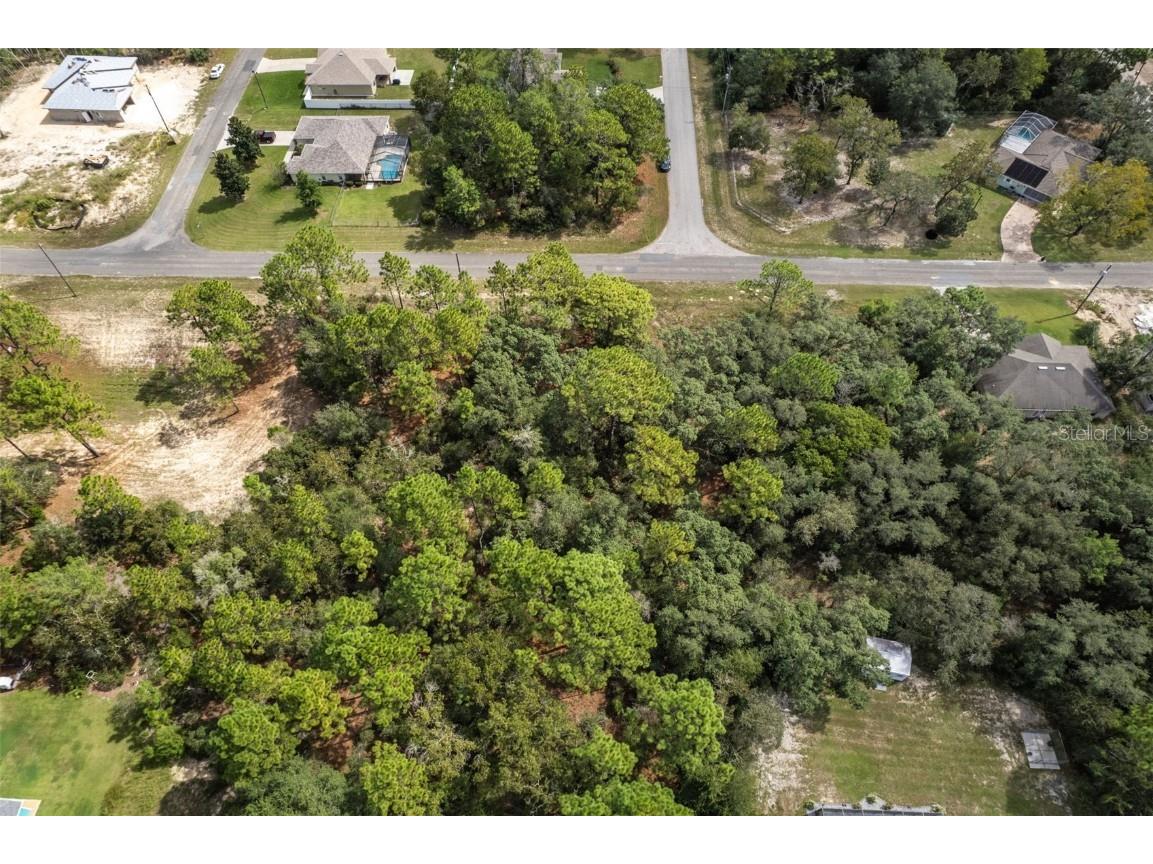 7220 N Maltese Drive Citrus Springs FL 34433 A4665455 image12