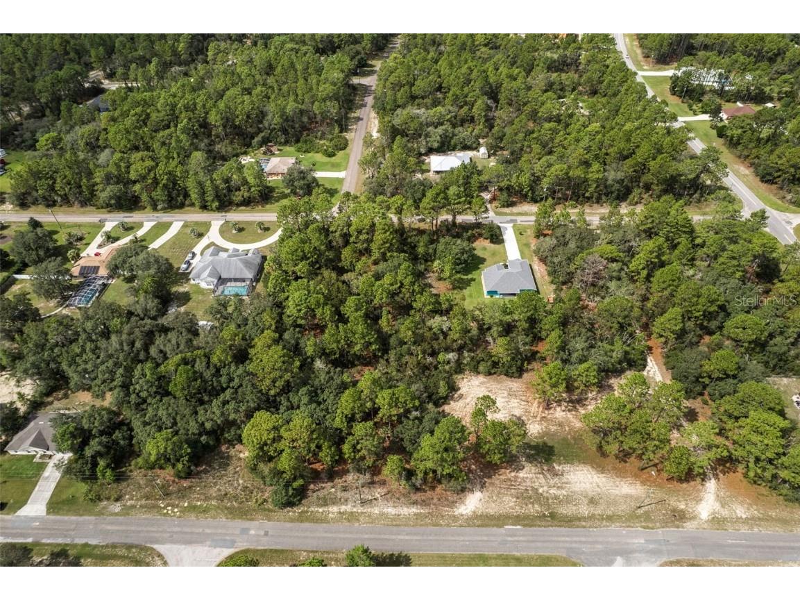 7220 N Maltese Drive Citrus Springs FL 34433 A4665455 image13