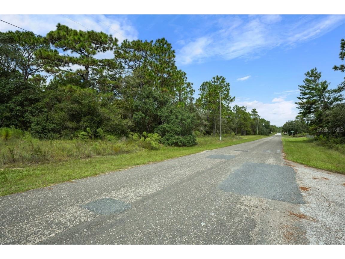 7220 N Maltese Drive Citrus Springs FL 34433 A4665455 image14