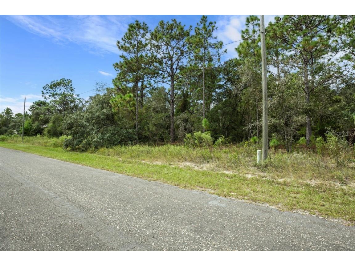 7220 N Maltese Drive Citrus Springs FL 34433 A4665455 image15