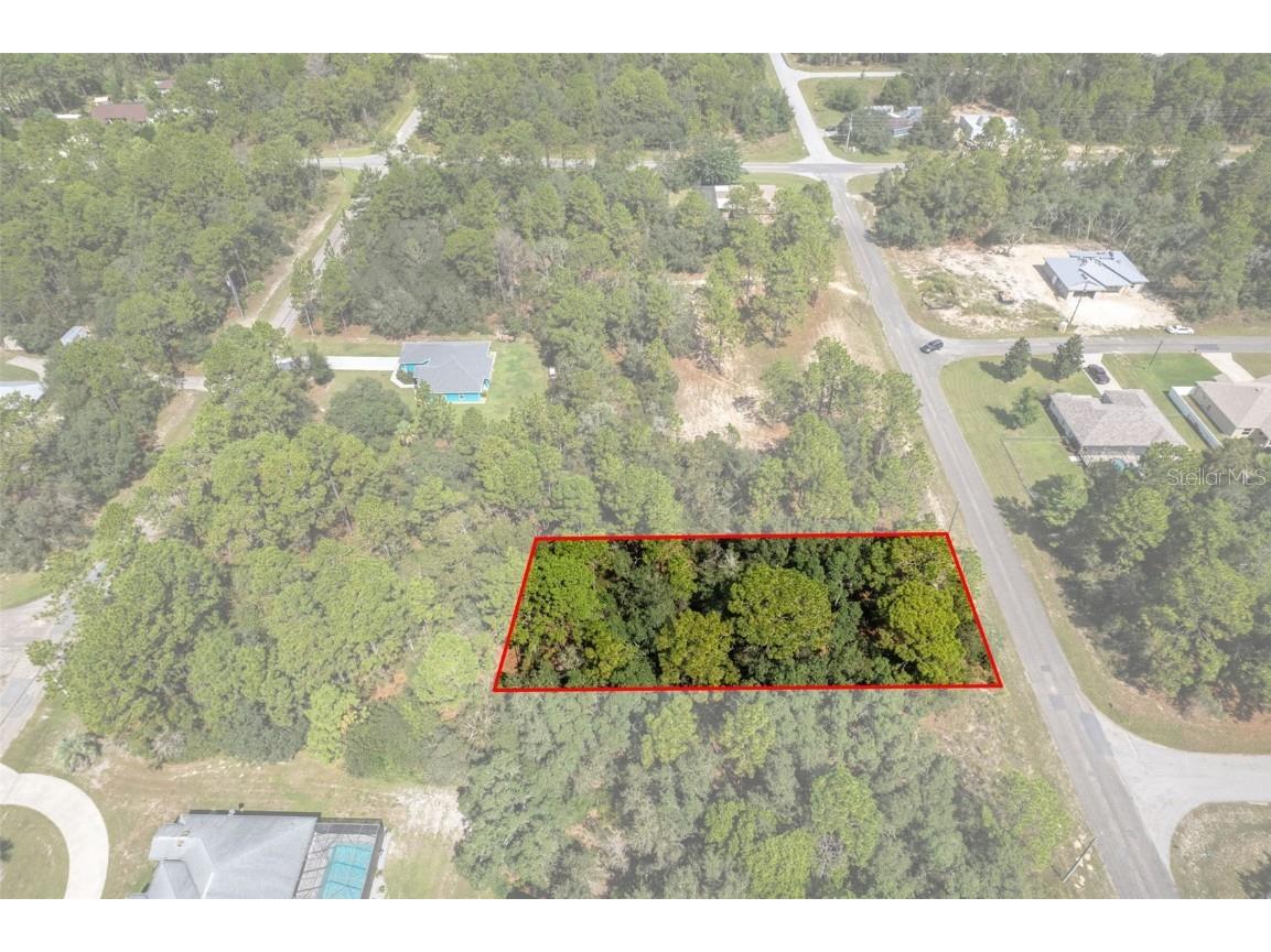 7220 N Maltese Drive Citrus Springs FL 34433 A4665455 image2