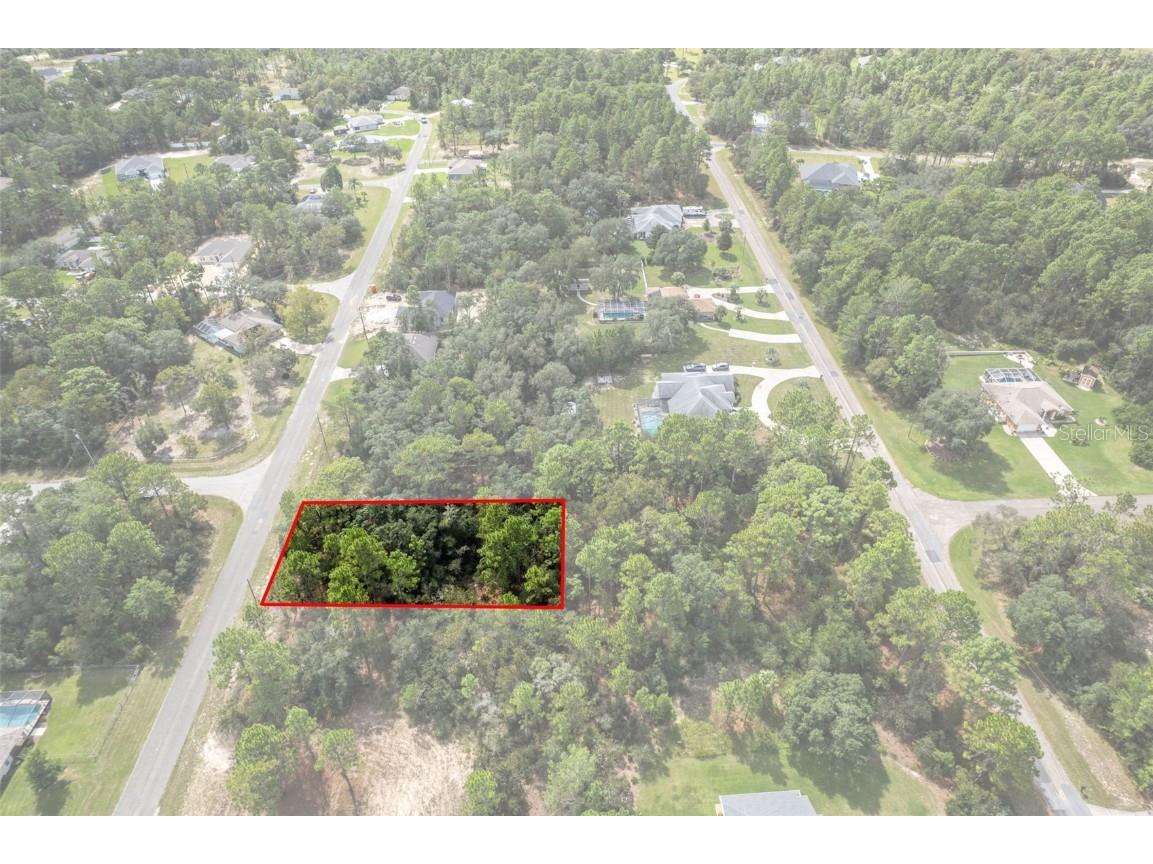 7220 N Maltese Drive Citrus Springs FL 34433 A4665455 image4